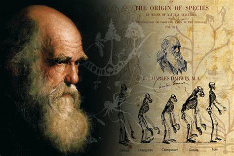 Darwin