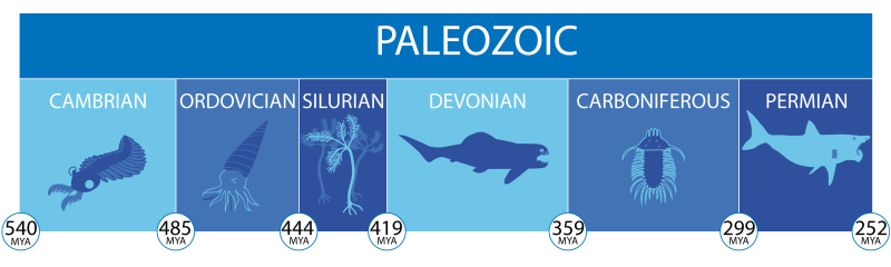 Era Paleozoica